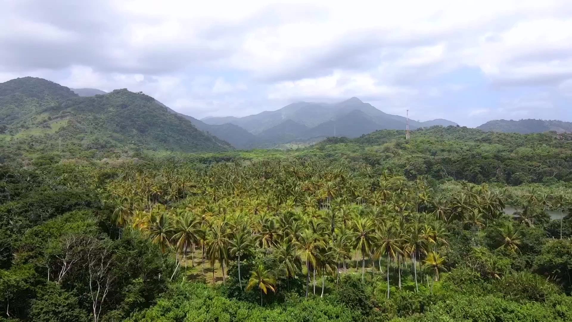 Vista aérea de las montañas y palmeras alrededor del Eco Hostal Paraíso en Playa Mendihuaca