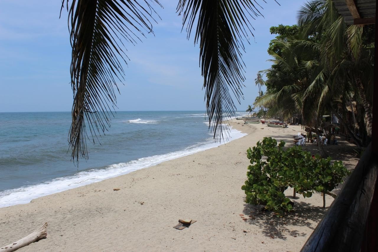 Playa Mendihuaca con palmeras frente al Eco Hostal Paraíso