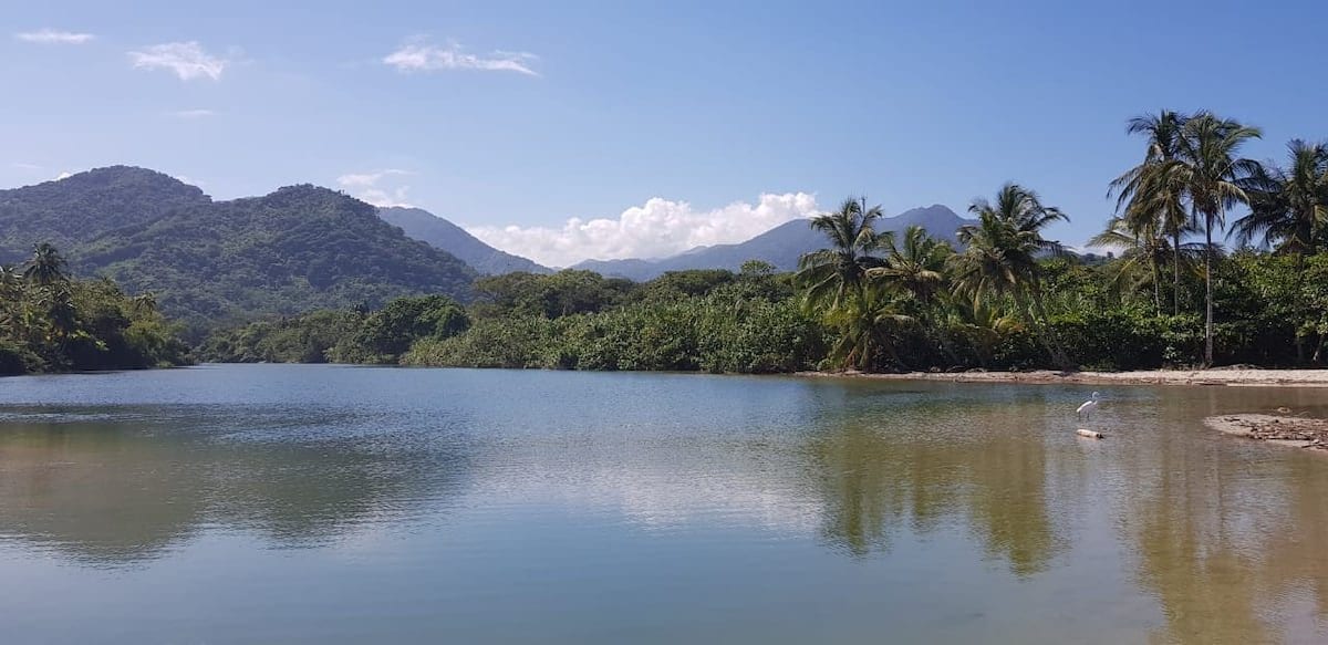 Río Mendihuaca rodeado de montañas y palmeras